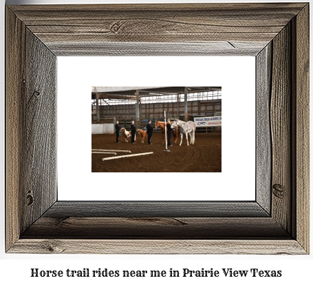 horse trail rides near me in Prairie View, Texas